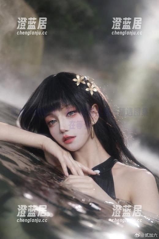 贰加六 贰加六的枯木,不一样的生机—精选图集在等你